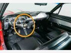 Thumbnail Photo 71 for 1967 Shelby GT500